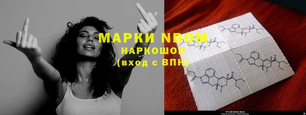 стафф Кинешма
