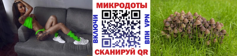 Галлюциногенные грибы ЛСД Бабушкин